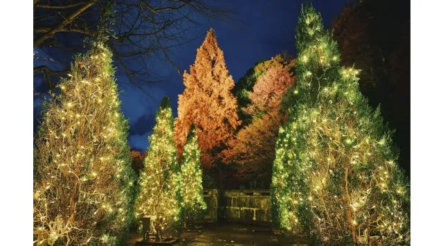 神戸クリスマスマーケット「古城のクリスマス」のシンボル「クリスマスタワー」が高さ7メートルに拡大！11/8（土）に点灯セレモニーを開催。「森のクリスマスツリー」の点灯セレモニーも同日開催。