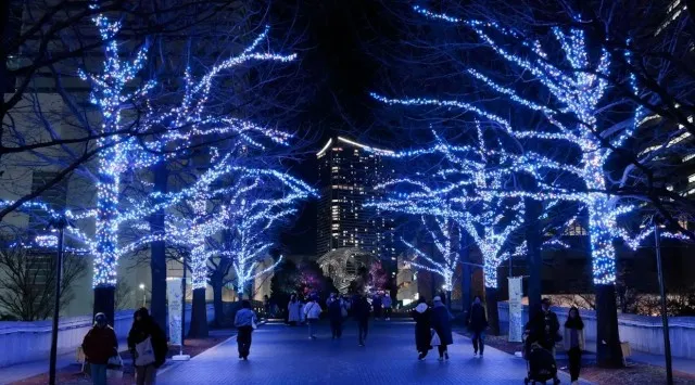 全長約1.5km横浜最大級のまちづくり型イルミネーション開催『ヨコハマミライト2025 ～みらいを照らす、光のまち～』約25万球のサスティナブルなイルミネーションが一斉点灯 ヨコハマミライト実行委員会