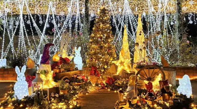 「練馬区立 四季の香ローズガーデン」ガーデンイルミネーション開催／温かな光で冬のローズガーデンを包み込む　2025年12月1日（月）～12月25日（木）入園無料　第一園芸株式会社