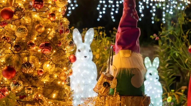 「練馬区立 四季の香ローズガーデン」ガーデンイルミネーション開催／温かな光で冬のローズガーデンを包み込む　2025年12月1日（月）～12月25日（木）入園無料　第一園芸株式会社