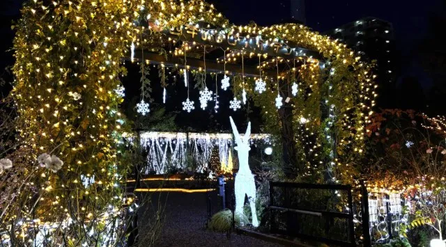 「練馬区立 四季の香ローズガーデン」ガーデンイルミネーション開催／温かな光で冬のローズガーデンを包み込む　2025年12月1日（月）～12月25日（木）入園無料　第一園芸株式会社