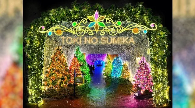 550万球の光が織りなす幻想。時之栖イルミネーション2025-2026「ひかりのすみか」が10月11日（土）より開催決定!!「マジックフォレスト」をテーマに、音と光が織りなす空間！！株式会社時之栖