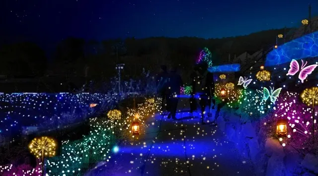 550万球の光が織りなす幻想。時之栖イルミネーション2025-2026「ひかりのすみか」が10月11日（土）より開催決定!!「マジックフォレスト」をテーマに、音と光が織りなす空間！！株式会社時之栖