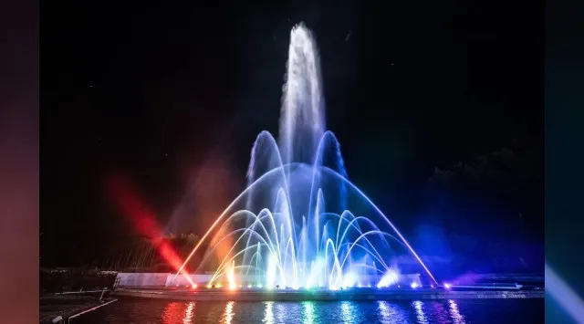 550万球の光が織りなす幻想。時之栖イルミネーション2025-2026「ひかりのすみか」が10月11日（土）より開催決定!!「マジックフォレスト」をテーマに、音と光が織りなす空間！！株式会社時之栖