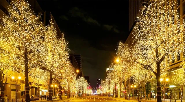 「大阪・光の饗宴2025」が11月3日から本格スタート！大阪・光の饗宴実行委員会事務局