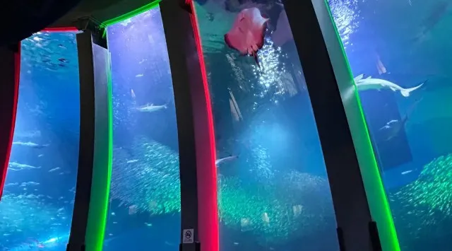 【横浜・八景島シーパラダイス】クリスマスシーズンにぴったり！シーパラならではのイルミネーションを毎夜お届け！『SEAPARADISE Christmas』株式会社 横浜八景島