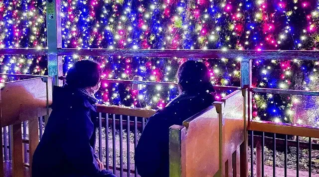 【京都・亀岡】冬を彩る特別運行！12月2日（火）イルミネーション列車「嵯峨野トロッコ ～冬の夜を彩るスイーツ列車～」が登場。株式会社SBI MUSIC CIRCUS