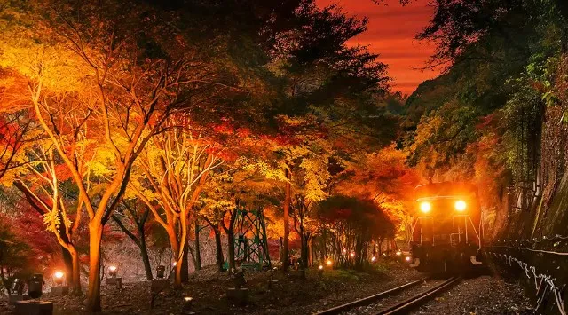 【京都・亀岡】冬を彩る特別運行！12月2日（火）イルミネーション列車「嵯峨野トロッコ ～冬の夜を彩るスイーツ列車～」が登場。株式会社SBI MUSIC CIRCUS