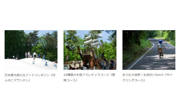幻想的な紅葉の帳 『紅葉見ナイト』まもなく開催します（国営武蔵丘陵森林公園）～光り輝く森林公園～ 一般財団法人 公園財団　Parks Japan.F