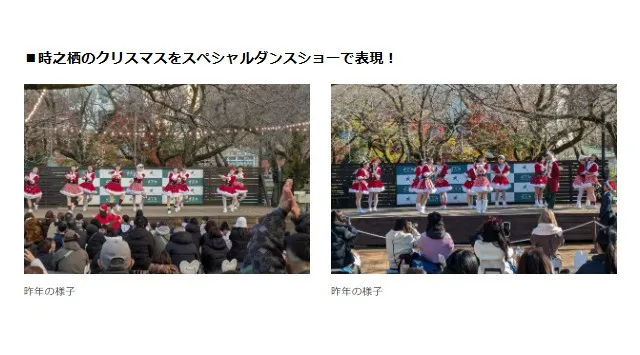 イルミネーションとダンスが奏でる、冬のファンタジー。御殿場高原 時之栖でしか見られない、心あたたまるクリスマスの夜を。きらめくイルミネーションの中、ダンサーたちが紡ぐ心温まるステージ。株式会社時之栖