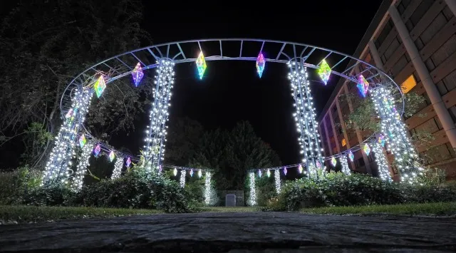 【つま恋リゾート彩の郷】 ～幻想的な童話の世界へ～ つま恋イルミネーション ～もりのさんぽみち～ ★11月22日より開催プレオープン期間：2025年11月17日▶21日 は割引入場券販売