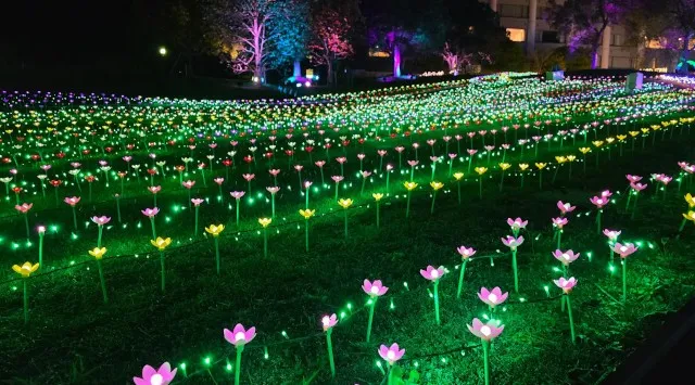 【つま恋リゾート彩の郷】 ～幻想的な童話の世界へ～ つま恋イルミネーション ～もりのさんぽみち～ ★11月22日より開催プレオープン期間：2025年11月17日▶21日 は割引入場券販売