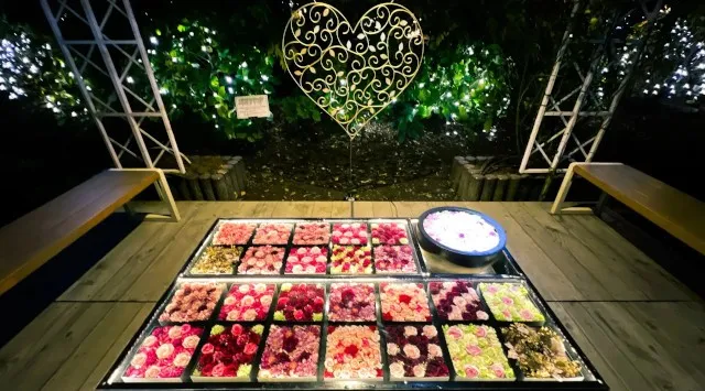 イルミネーションアワードで10年連続ランキング全国第1位『あしかがフラワーパーク』で最高のクリスマスを！2025年12月25日まで特別演出『クリスマスファンタジー』開催中！株式会社足利フラワーリゾート