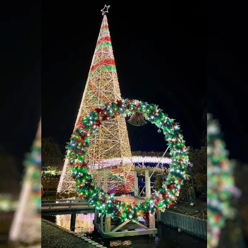 イルミネーションアワードで10年連続ランキング全国第1位『あしかがフラワーパーク』で最高のクリスマスを！2025年12月25日まで特別演出『クリスマスファンタジー』開催中！株式会社足利フラワーリゾート