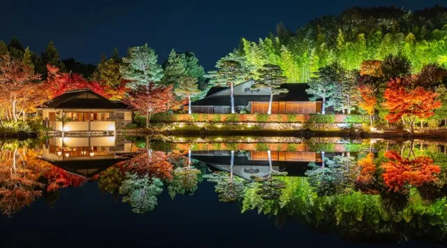 幻想的な夜の日本庭園が見頃【国営昭和記念公園】紅葉が見頃となり、ライトアップでより一層幻想的な風景に。一般財団法人 公園財団　Parks Japan.F