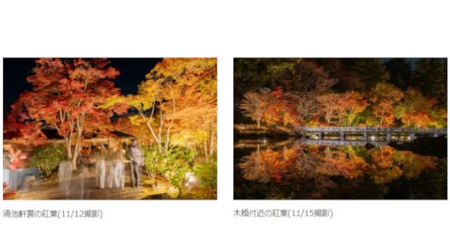 幻想的な夜の日本庭園が見頃【国営昭和記念公園】紅葉が見頃となり、ライトアップでより一層幻想的な風景に。一般財団法人 公園財団　Parks Japan.F