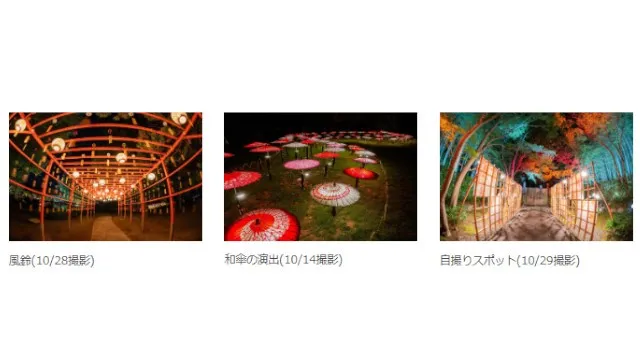 幻想的な夜の日本庭園が見頃【国営昭和記念公園】紅葉が見頃となり、ライトアップでより一層幻想的な風景に。一般財団法人 公園財団　Parks Japan.F