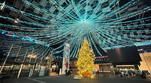 【新潟県長岡市】夜がきらめく特別な季節 Aollumination2025-2026　11月14日(金)から開催 イルミネーションとクリスマスツリーのコラボレーション　長岡市