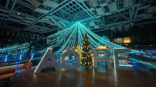 【新潟県長岡市】夜がきらめく特別な季節 Aollumination2025-2026　11月14日(金)から開催 イルミネーションとクリスマスツリーのコラボレーション　長岡市