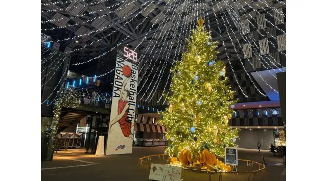 【新潟県長岡市】夜がきらめく特別な季節 Aollumination2025-2026　11月14日(金)から開催 イルミネーションとクリスマスツリーのコラボレーション　長岡市