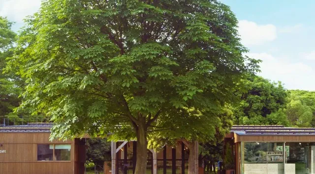 親子や家族で体験するクラフトクリスマスをテーマにしたマーケット「KIBACO CRAFT XMAS MARKET 2025」12月13日（土）・14日（日）に開催！