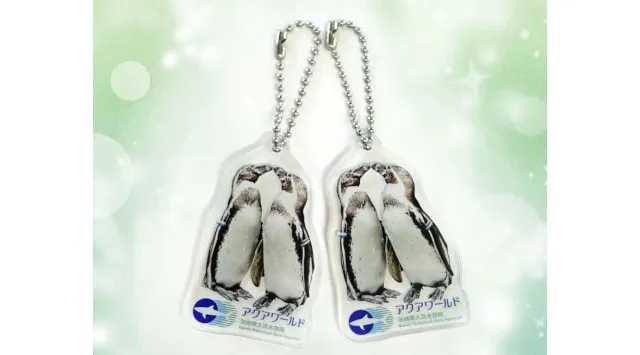 ２夜限定 アクアワールド・大洗で過ごす聖なる夜。NIGHT AQUAWORLD特別版 “クリスマスナイト”開催　2025年12月20日（土）・12月24日（水）開催。　アクアワールド茨城県大洗水族館