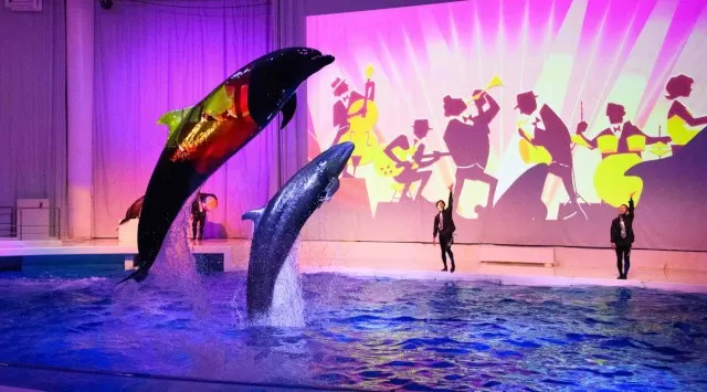 ２夜限定 アクアワールド・大洗で過ごす聖なる夜。NIGHT AQUAWORLD特別版 “クリスマスナイト”開催　2025年12月20日（土）・12月24日（水）開催。　アクアワールド茨城県大洗水族館