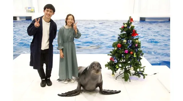 ２夜限定 アクアワールド・大洗で過ごす聖なる夜。NIGHT AQUAWORLD特別版 “クリスマスナイト”開催　2025年12月20日（土）・12月24日（水）開催。　アクアワールド茨城県大洗水族館