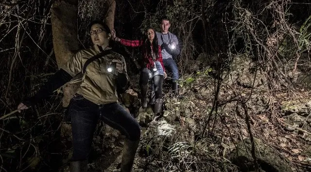 【自然が灯す光に気づく夜】沖縄本島南部、本物のジャングルから見上げる冬の夜空！【閉園後のテーマパーク内のジャングルを歩こう！】那覇から車で約30分。南都グループ