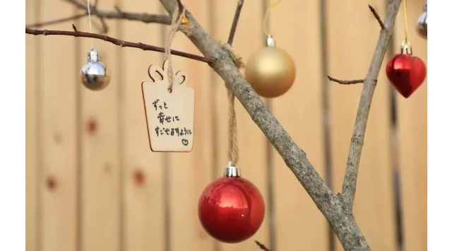 【広島／世羅】クリスマスシーズンは世羅高原へ　世羅高原キャンドルナイトは12月21日まで《世羅高原キャンドルナイト》世羅高原キャンドルナイト　金・土・日の週末のみ開園中