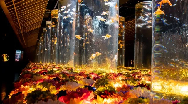 クリスマスの思い出を“花×金魚”のアートアクアリウム美術館で お得なクリスマスペアチケットを数量限定で販売！ 2人で“花に囲まれる幻想空間”に浸るクリスマス　アートアクアリウム製作委員会