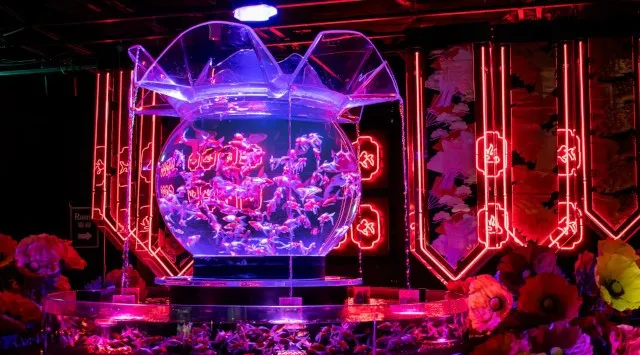 クリスマスの思い出を“花×金魚”のアートアクアリウム美術館で お得なクリスマスペアチケットを数量限定で販売！ 2人で“花に囲まれる幻想空間”に浸るクリスマス　アートアクアリウム製作委員会