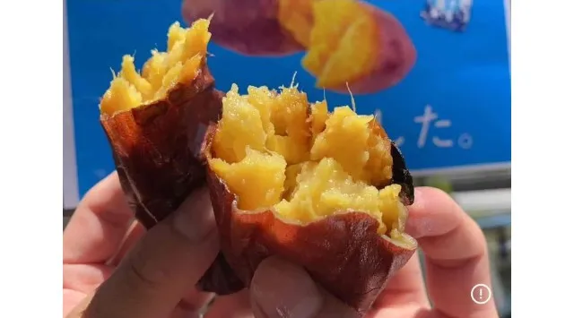 2025年12月27日・12月28日開催「第1回芋フェス！ in 浜松ＳＡ　」出店者決定！浜松城で大旋風を巻き起こした芋フェス！が高速道路SAにやってくる。株式会社ロト