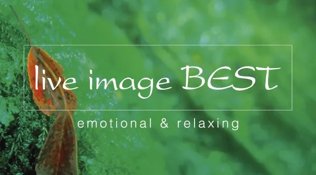 7年ぶりに復活する「ライブイマージュ・コンサート」に、REAL TRAUM、Budo、石井琢磨がオープニングアクトとして出演決定！株式会社キョードーメディアス