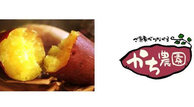 【千葉県佐倉市】絶品焼き芋や手ぶらで焚き火が楽しめるイベント「第1回もえもえ燃えよ！焚き火ヒルズ」開催決定（2/11）サツマイモ農家の教える絶品焼き芋の作り方を伝授！佐倉市