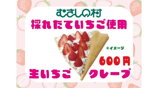 【遊園地むさしの村】いちごまみれのイベント！「ストロベリーゼのいちごフェス」1/17(土)から開催！2026年1月17日(土)～開催！遊園地で【いちご狩り】！？株式会社 むさしの村