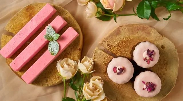 熱海で桜が続々と開花中！園内が桜色に染まる期間限定イベント「ACAO FOREST -桜咲くピンクフェスタ-」2026年1月13日（火）より開催！ACAO SPA & RESORT株式会社