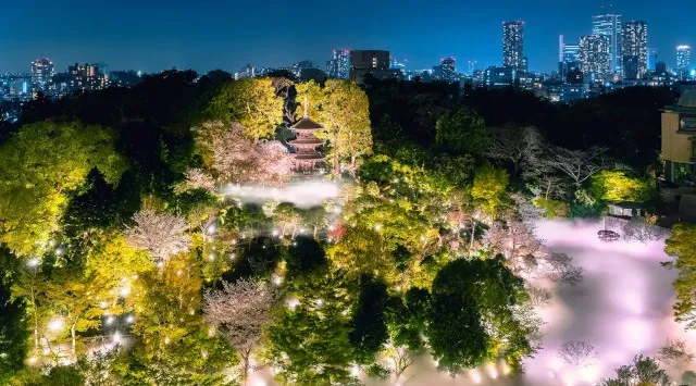 【ホテル椿山荘東京】桜とシャンパンが彩る、春限定のラグジュアリーなピクニック「Twilight Sakura Terrace」 3月2日よりスタート～お食事後、夜桜の余韻を楽しめるステイプランも登場～