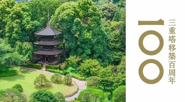 【ホテル椿山荘東京】桜とシャンパンが彩る、春限定のラグジュアリーなピクニック「Twilight Sakura Terrace」 3月2日よりスタート～お食事後、夜桜の余韻を楽しめるステイプランも登場～