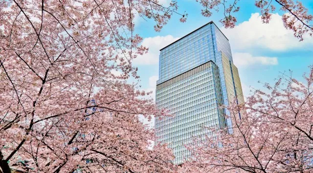 桜が舞う日本橋で楽しむ、マンダリン オリエンタル 東京の春限定体験　マンダリン・オリエンタル東京株式会社