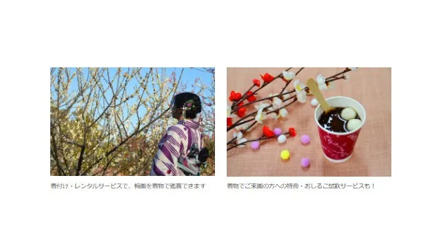 【入園無料】例年よりも早い「梅」の開花！関東最多級の名所・約300品種500本「梅まつり」2026年1月24日（土）より開催（小田原フラワーガーデン）西武造園株式会社