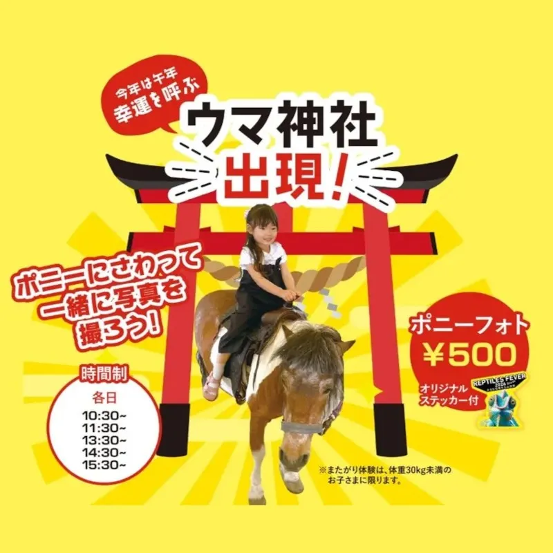 うま神社にマイレプ総選挙、駅弁販売まで！関西最大級の爬虫類イベント「レプタイルズフィーバー」に新企画盛りだくさん！大人気生物ライター平坂寛氏のステージも！テレビ大阪株式会社