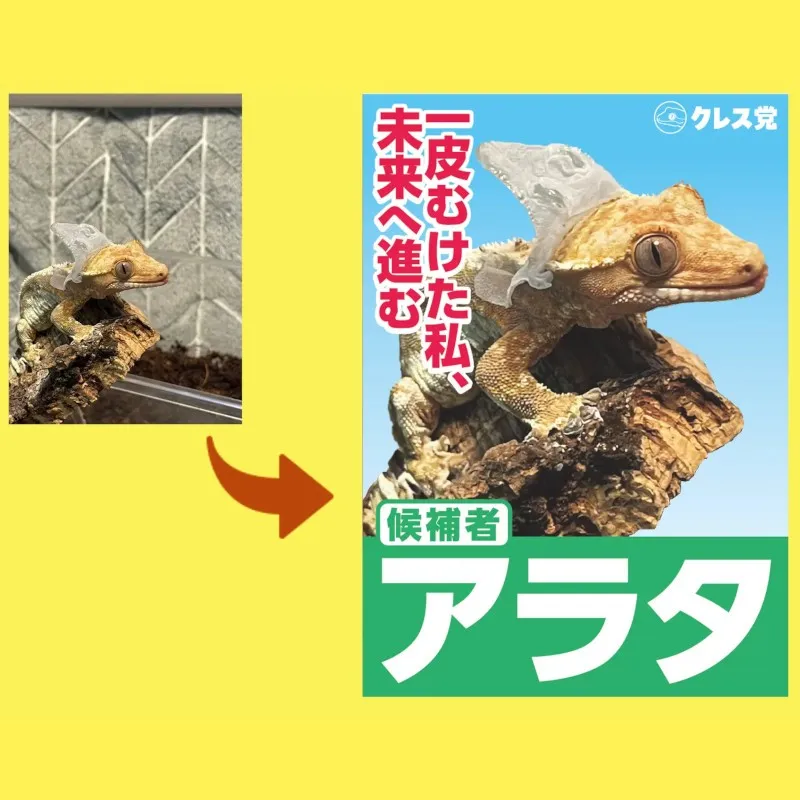 うま神社にマイレプ総選挙、駅弁販売まで！関西最大級の爬虫類イベント「レプタイルズフィーバー」に新企画盛りだくさん！大人気生物ライター平坂寛氏のステージも！テレビ大阪株式会社