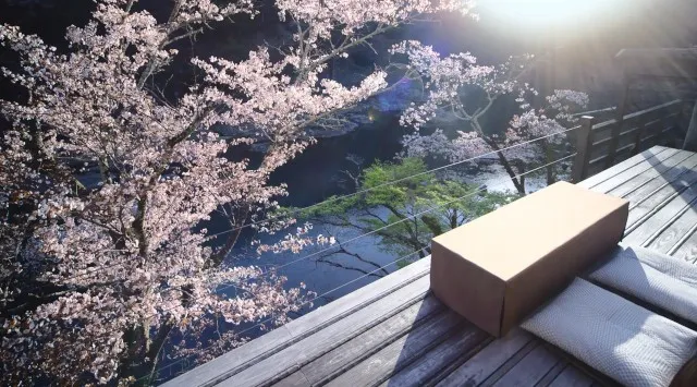 【星のや京都】平安貴族が興じた奥嵐山で叶う贅沢。三つの桜の「特等席」を独り占めする、一日一組限定の滞在プログラム「奥嵐山の花見滞在」提供開始　星野リゾート