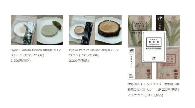 LIGHT CYCLES KYOTO（ライトサイクル京都）桜の季節を先取りする「春待ちのイルミネーション」を2月13日よりスタート　京都府立植物園アートナイトウォーク実行委員会