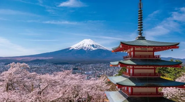 毎年20万人が訪れる、富士吉田市の春の風物詩　新倉山浅間公園桜まつりを開催しないことに決定　観光客の過度な集中を抑制し、地域住民の生活を守るためと持続可能な観光都市を目指す
