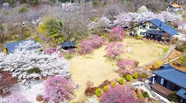 【日本最大級の独占お花見】2000坪の敷地に咲く桜を“1組”だけで貸切。Airbnb★5.0の究極ヴィラ「ReTune Hokuto」で、ととのう「花見×サウナ」予約解禁。ジーグロウ株式会社
