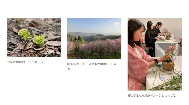 満足度96％！日比谷花壇と山形県西川町が贈る、日本一の啓翁桜を“五感”で巡る第3回アグリツアー開催。店舗・オンライン・旅で地域のファンを創出　株式会社日比谷花壇