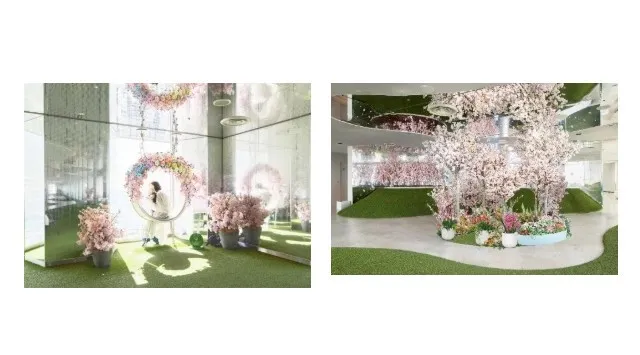 日本で一番早い開花宣言！？花粉を気にせず屋内でお花見気分♪『てんぼうパーク　さくらまつり』夜間限定で提灯を持って特別な春の記念撮影も！*2月26日（木）～5月10日（日）* 株式会社サンシャインシティ