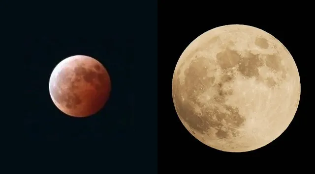 日本で一番早い開花宣言！？花粉を気にせず屋内でお花見気分♪『てんぼうパーク　さくらまつり』夜間限定で提灯を持って特別な春の記念撮影も！*2月26日（木）～5月10日（日）* 株式会社サンシャインシティ